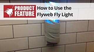 How to Use the FlyWeb Fly Light - Indoor Electric Bug Light | DoMyOwn.com