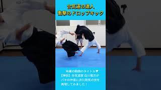 合気道の達人！衝撃のドロップキック