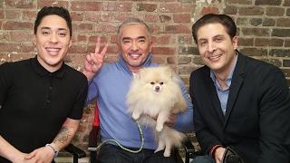 Cesar and Andre Millan Talks "Dog Nation" with Arthur Kade