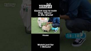 Easiest way to train a Dog "House" in the World! #pethealth #petadoption #petlover