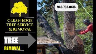 TREE REMOVAL - DENTON COUNTY - Clean Edge Tree Service & Removal - 940-783-7023