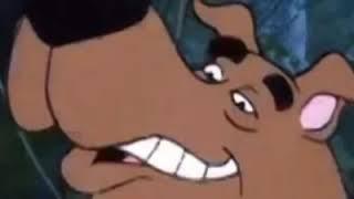 snorting scooby snacks