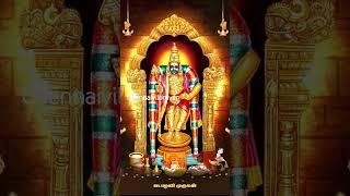 #murugan #muruganthunai #muruganarul #murugandevotes #arumugam #devotees #positivevibes #vadapalani