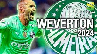 Weverton 2024 - Defesas & Reflexos Incríveis - Palmeiras | HD