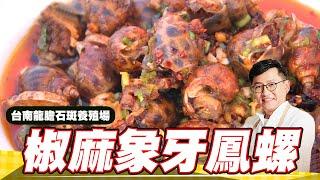 《料理廚神》椒麻象牙鳳螺 台南龍膽石斑養殖場第一海味