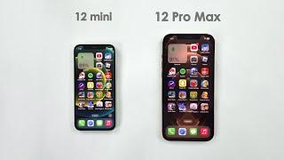 iPhone 12 mini vs 12 Pro Max - SPEED TEST! Which is Better in 2025?