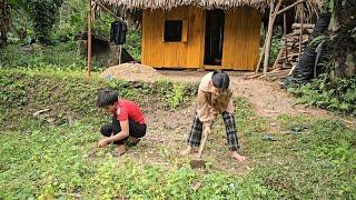 The homeless boy and the poor girl picked vegetables, sold pumpkins and rebuilt the vegetable garden