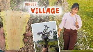 Village Life Vlog–2 || Jungle Ma Medicine Kojdai Bhadai Sanga ll Kamana Limbu Vlogs ll