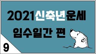 2021년 신축년 운세. 아홉번째 임수일간 편!