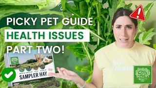 Attention Rabbit Owners! Picky Pet Health Emergencies (Picky Pet Guide PART 2)