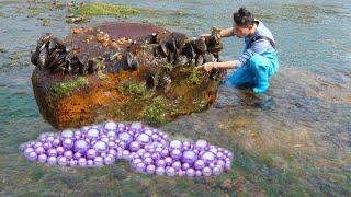 Marine Marvel: Teenager's Chance Encounter Leads to Discovery of Unusual Pearl-Stuffed Clam