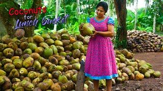 I made a huge lunch basket with coconut dishes for hungry paddy field workers! | Traditional Me