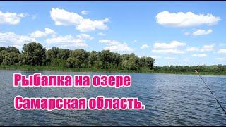 Рыбалка на озере в Самарской области ! Потрясающий отдых ! Отличный завтрак на ходу !