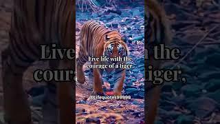 Fearless Tiger #shorts #psychology #subscribe #youtubeshorts #trendingnow #motivation #tigerattitude