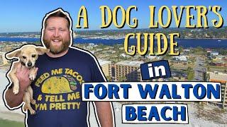 A Dog Friendly Guide in the City | Fort Walton Beach Florida