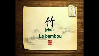 你好中国系列片: 竹 - Bonjour la Chine : Le bambou