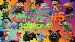 Funny & Freaky Animal Sounds Song 5 | Zoo Animals From 1 to 16  | The 16 Funny & Weird Noises! 