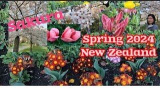 Life in New Zealand: Spring 2024 update