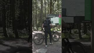 Tired Of Your Bike Constantly Falling Over? TRY THIS! 