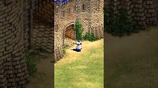 This is Why AoE2 Never Added Garrison Animations 
