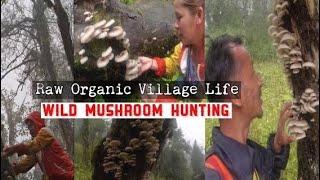 Hunting Wild Mushroom, Raw Village Life