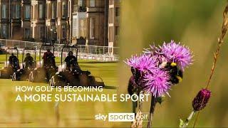 How golf is becoming a more sustainable sport ️️