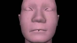 3D Facial Animator (3rd video)