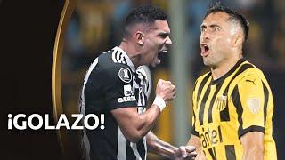 TODOS LOS GOLES AFUERA DEL ÁREA EN LA CONMEBOL LIBERTADORES 2024