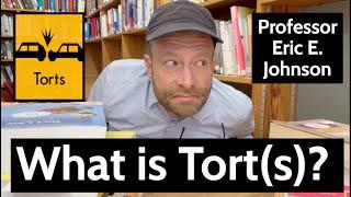 What is Tort(s)?