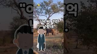 시골땅 투자했다가 목숨 위험?