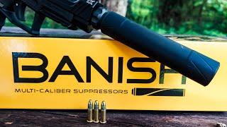 Banish 22 Suppressor  from Silencer Central #shorts