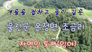 [거래 완료]개울을 접하고 골이 깊은 울진군 온정면 조금리의 저렴한 자연인 토지(임야)