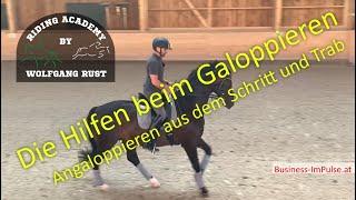 F46 Galopphilfe erklärt & gezeigt. Galoppieren lernen, Hilfen beim Reiten- Schritt, Trab, Galopp