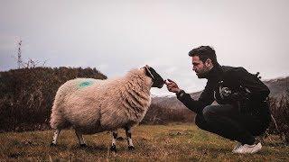 The Swirl tour has BEGUN! Roadtrip to Scotland with Dave Erasmus & Friends