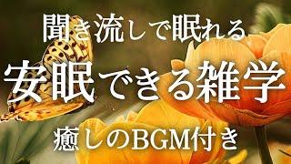 【睡眠導入】良質睡眠の雑学【リラックス】聞き流しで爆睡できる