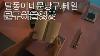 땡땡특별시 색다른 문구하울 영상 feat. 달퐁이네문방구, 테일