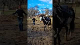 Nicci Working on her #lunging #horsemanship #skills #groundwork #horselesson #ridinglessons