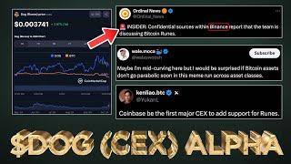  Major $DOG Alpha (Binance leaks Runes News)