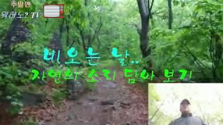 비오는 날 숲속 이야기_asmr