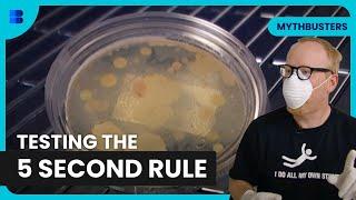 Does the 5-Second Rule Hold Up? - Mythbusters