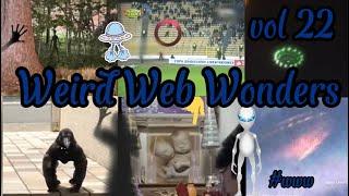 Weird Web Wonders  VOL 22