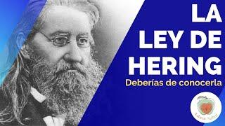 La LEY DE HERING y las Crisis Curativas