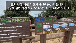 완도 약산 해안 치유의 숲 10분만에 둘러보기(실제 40분 소요), 산책하기 좋은곳, 생일도 철선, Wando Yaksan Coastal Healing Forest Tour