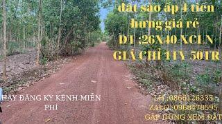 bán lô đất sào ấp 4 tiến hưng TP đồng xoài cách đường ĐH 507 CHỈ 100M  I anh dũng đất nền bình phước