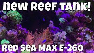 MY NEW FAVORITE REEF TANK! - Red Sea Max E-260