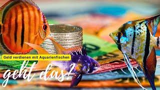 FISCHE züchten und damit GELD verdienen