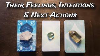  Their Feelings, Intentions & Next Actions  Pick A Card Love Reading