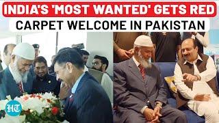 After Jaishankar Exposes Pakistan, Radical Fugitive Zakir Naik Gets Grand Welcome In Islamabad