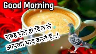 सुबह होते ही दिल से आपको याद करते हैं Good morning status Good morning shayari Good Morning