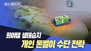 [단독취재] 돈벌이 수단 전락한 회야댐 생태습지